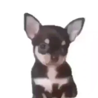 🌻 emoji Москалі то хворі люди. Telegram sticker 11 of 15