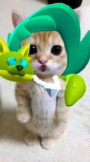 😽 emoji Lola✨🌟💎 Telegram sticker 5 of 14