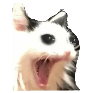 🤣 emoji Привет Telegram sticker 13 of 36