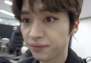 🙄 emoji skz 😻 Telegram sticker 15 of 19