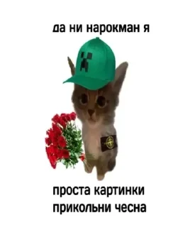 Sticker from хз