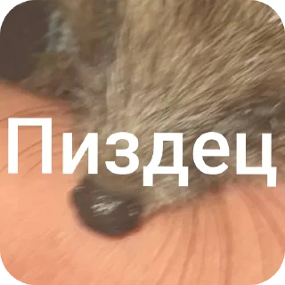 ✋ emoji Помидоры Telegram sticker 16 of 24