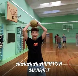 Sticker from кинг конг и его обезьянки