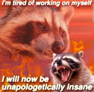 🌟 emoji 🦝 Racoon life 🦝 Telegram sticker 9 of 23