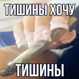 🌟 emoji Свага Telegram sticker 13 of 58