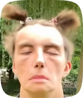 Sticker from Эх шарик я как и ты был на цеп