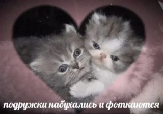 😂 emoji котеки Telegram sticker 17 of 99