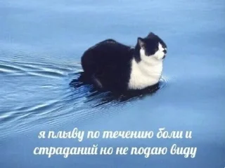 😌 emoji хуета Telegram sticker 15 of 48
