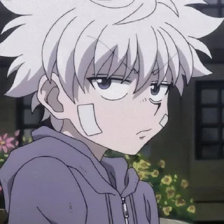 🌟 emoji Killua Zoldyck
@stickers_ari Telegram sticker 21 of 50