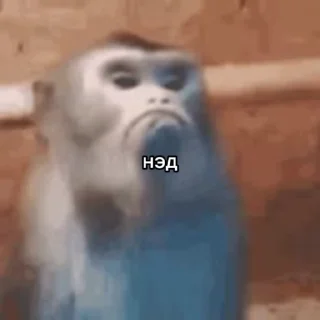 🌟 emoji Неповторими брадки Telegram sticker 14 of 31