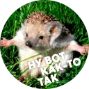 ☺️ emoji 🦔 Hedgehog memes @lennysticker Telegram sticker 5 of 40