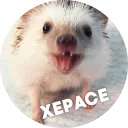 😳 emoji 🦔 Hedgehog memes @lennysticker Telegram sticker 19 of 40