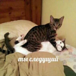 😡 emoji Всё и сразу Telegram sticker 20 of 70