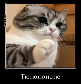 Sticker from Хз все сразу @TgEmodziBot