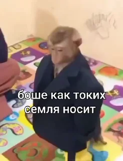 🤩 emoji Хз все сразу @TgEmodziBot Telegram sticker 20 of 38