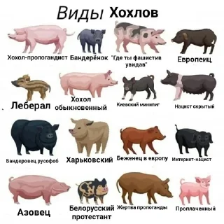 🤙 emoji ГОООЛ Telegram sticker 24 of 51
