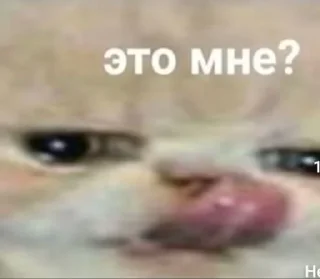 🤤 emoji Чё это… Telegram sticker 15 of 42