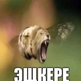 🤘 emoji Лютейша свага Telegram sticker 12 of 77