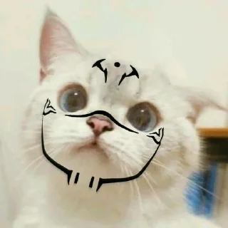 🌟 emoji Кошки топ Telegram sticker 11 of 89