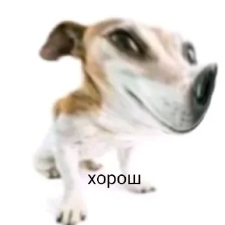 👍 emoji чурка Telegram sticker 11 of 39