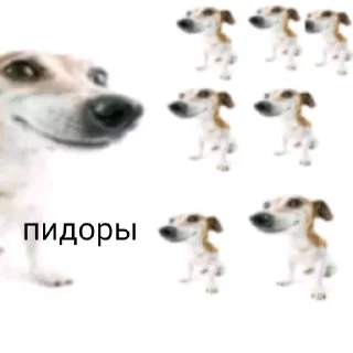 🤢 emoji чурка Telegram sticker 16 of 39