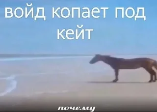 Sticker from Лололошка мемы