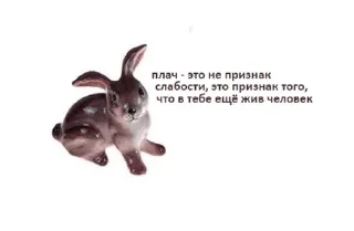 🐰 emoji фарфорыши Telegram sticker 13 of 53