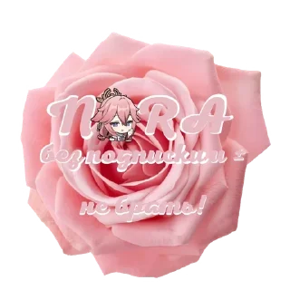 🍃 emoji ㅤ─╶s𝗍ᥱrᥣ❀s s𝗍іᥴk @sterlosstick Telegram sticker 18 of 50