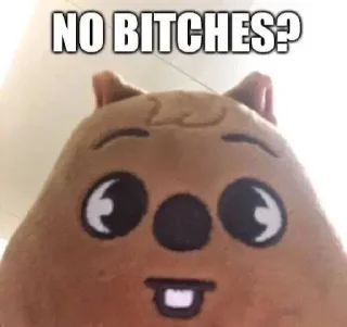 🌟 emoji han quokka 🐿 Telegram sticker 12 of 38