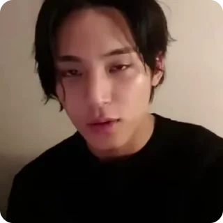 🌟 emoji Mingyu fr @qzies Telegram sticker 20 of 21