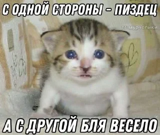 🌟 emoji идите нахуй Telegram sticker 16 of 67