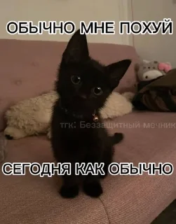 🤓 emoji @korolpupsikov Смешные картинки два Telegram sticker 19 of 50