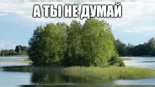 🌳 emoji смешные картинки Telegram sticker 11 of 52