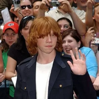 🤍 emoji ron weasley Telegram sticker 10 of 22
