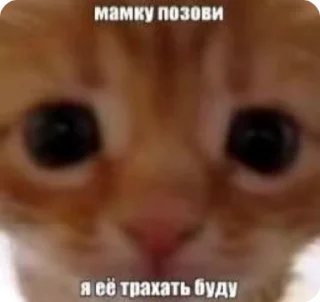 🌟 emoji динаху Telegram sticker 21 of 50
