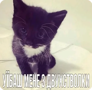 🌟 emoji динаху Telegram sticker 19 of 50