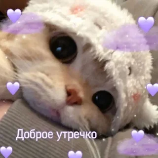 💜 emoji На все случаи жизни 2.0 Telegram sticker 7 of 50