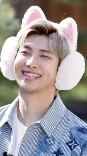 🐱 emoji Намджун Telegram sticker 5 of 17