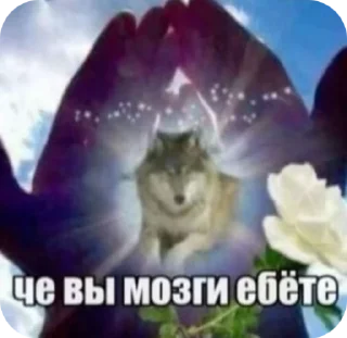 🌟 emoji пак пикми изгоев. Telegram sticker 18 of 80