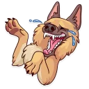 😂 emoji Moar Dog Memes Telegram sticker 1 of 40
