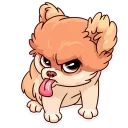 😝 emoji Moar Dog Memes Telegram sticker 21 of 40