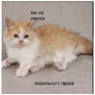 🧐 emoji чупапи муняня Telegram sticker 6 of 57