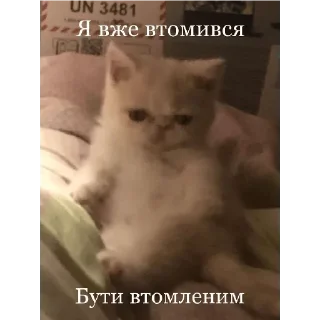 😢 emoji Наліпки від Олежика Telegram sticker 10 of 71
