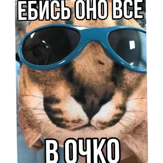 🖼 emoji Но соск Telegram sticker 10 of 55