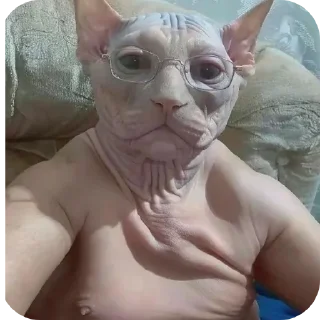 ✋ emoji Но соск Telegram sticker 20 of 55