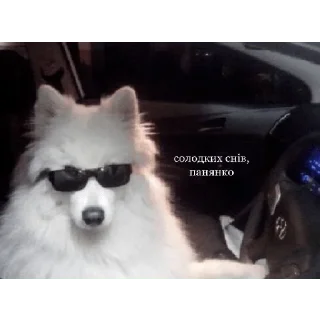 🌝 emoji Наліпки від Олежика Telegram sticker 9 of 71