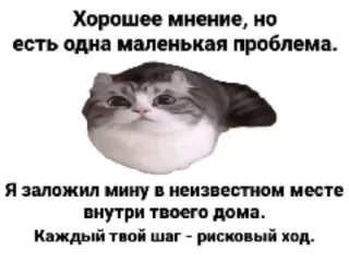 🌟 emoji рандом фото Telegram sticker 19 of 20