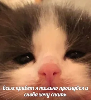 Sticker from один кусочек пиццы!