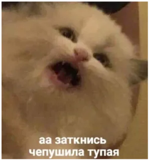 😑 emoji на случай важных переговоров Telegram sticker 23 of 93