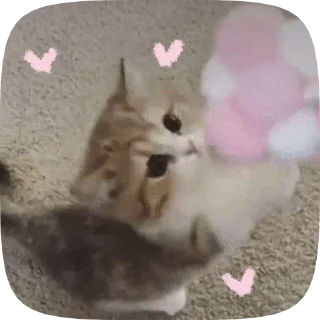 💗 emoji котятя от увувси Telegram sticker 17 of 51